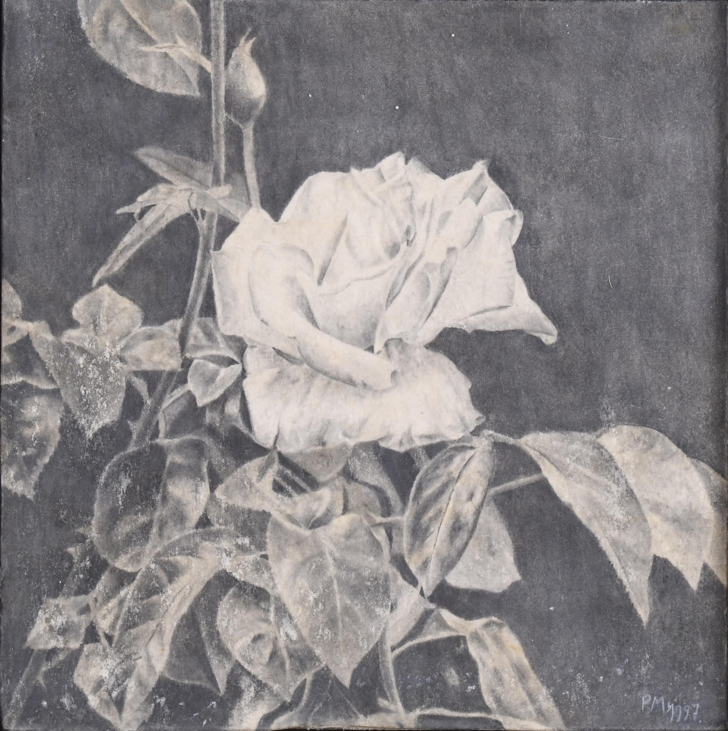 PEDRO MORENO MEYERHOF (1954). "WHITE ROSE", 1997.
