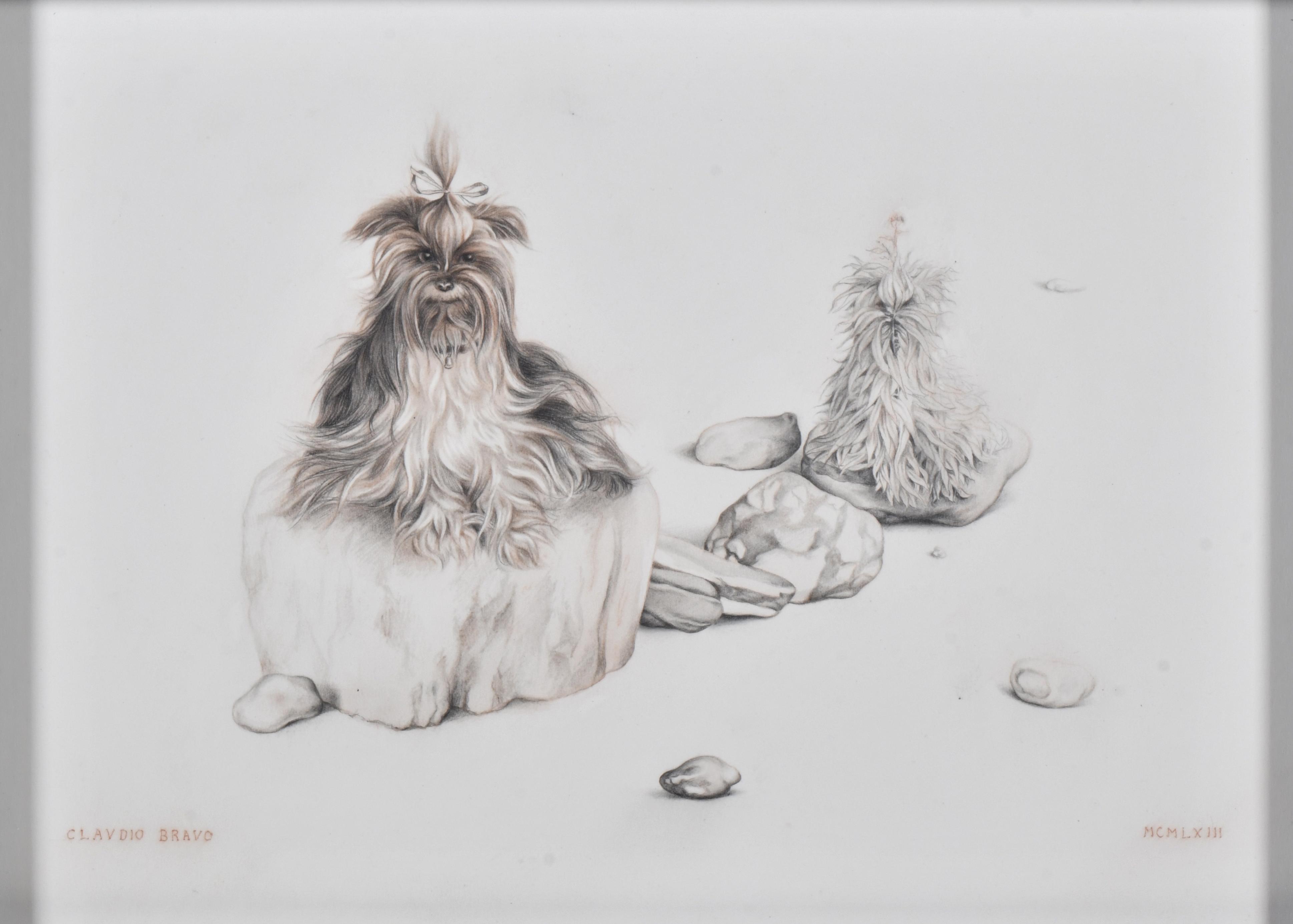 CLAUDIO BRAVO (1936-2011).  "Perritos", 1963.