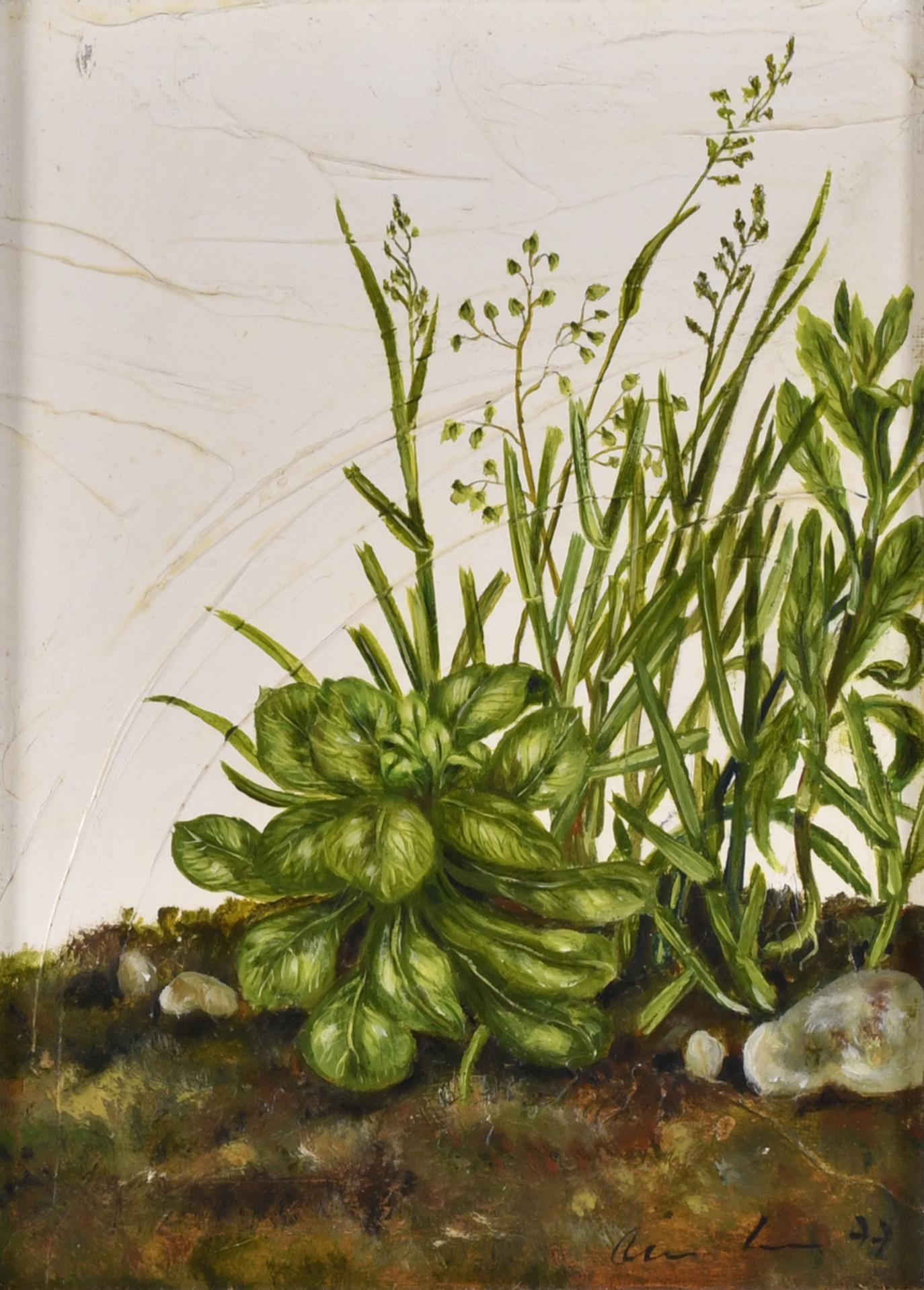 ANNA LENTSCH (1943). "Rincón verde", 1977.