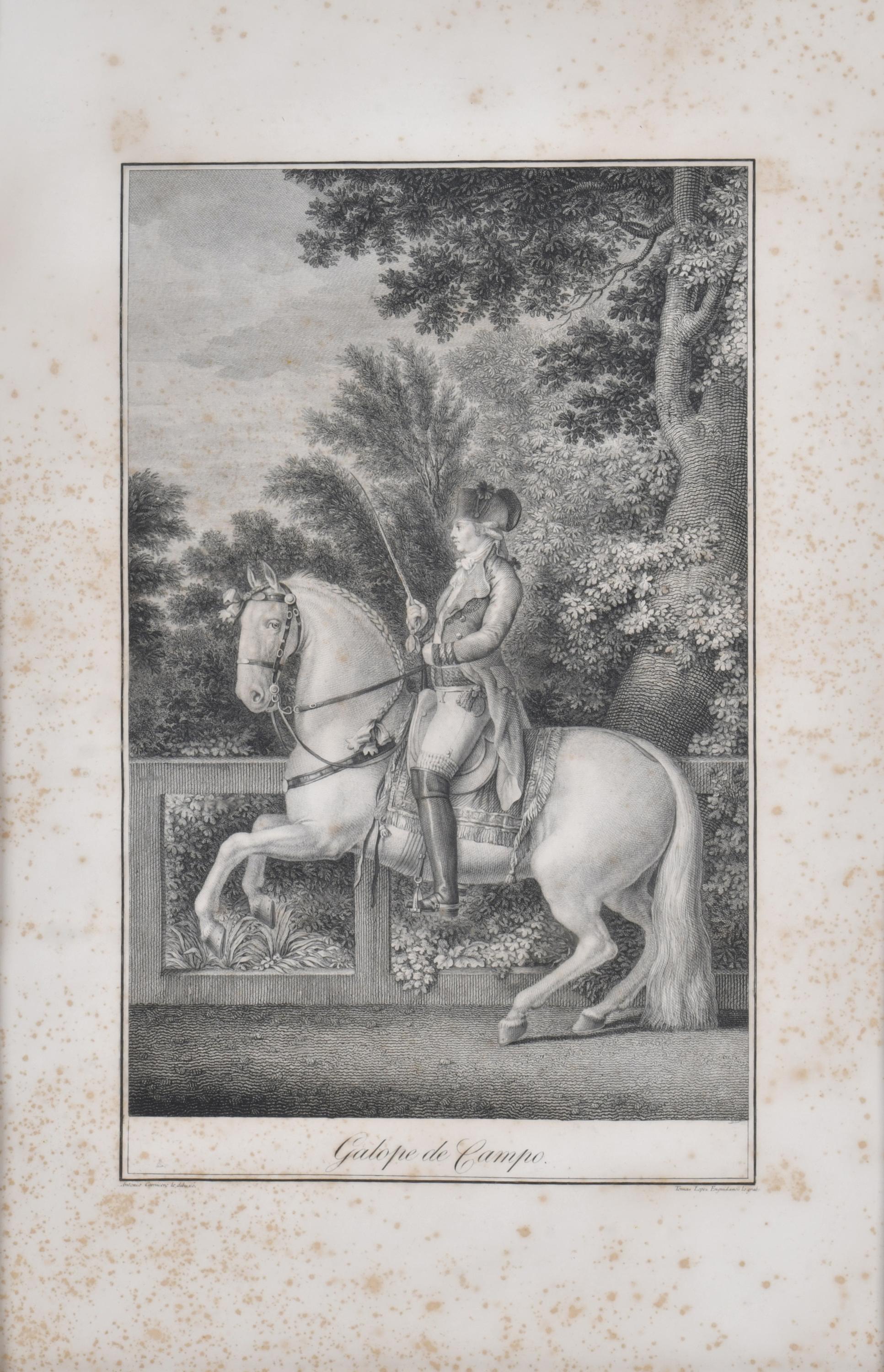 TOMAS LOPEZ ENGUIDANOS (1773-1814).  "Galope de campo", seg