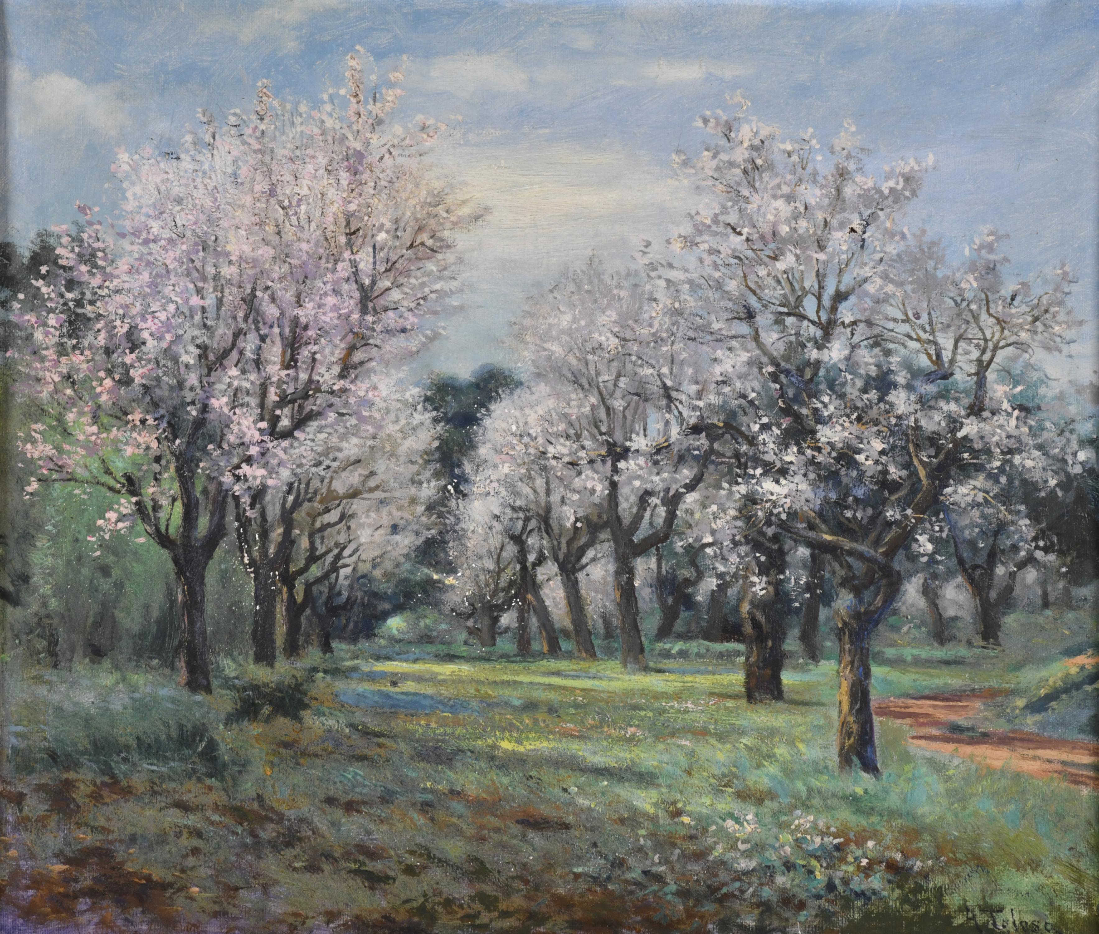 AURELI TOLOSA I ALSINA (1861-1938) “Almendros”.
