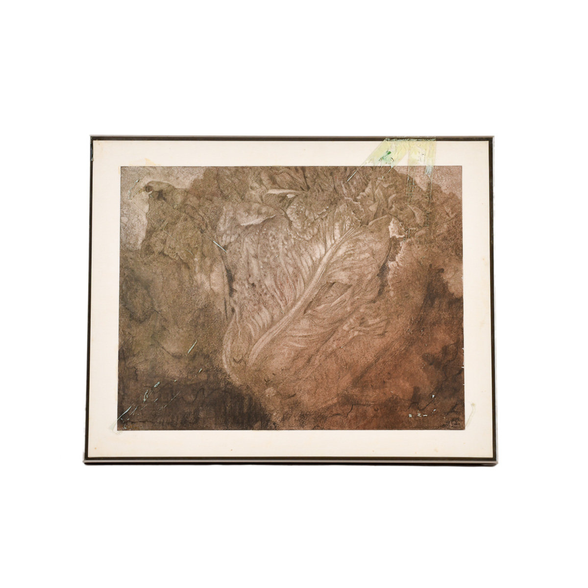 RAFAEL MUYOR (1943). "Lechuga".