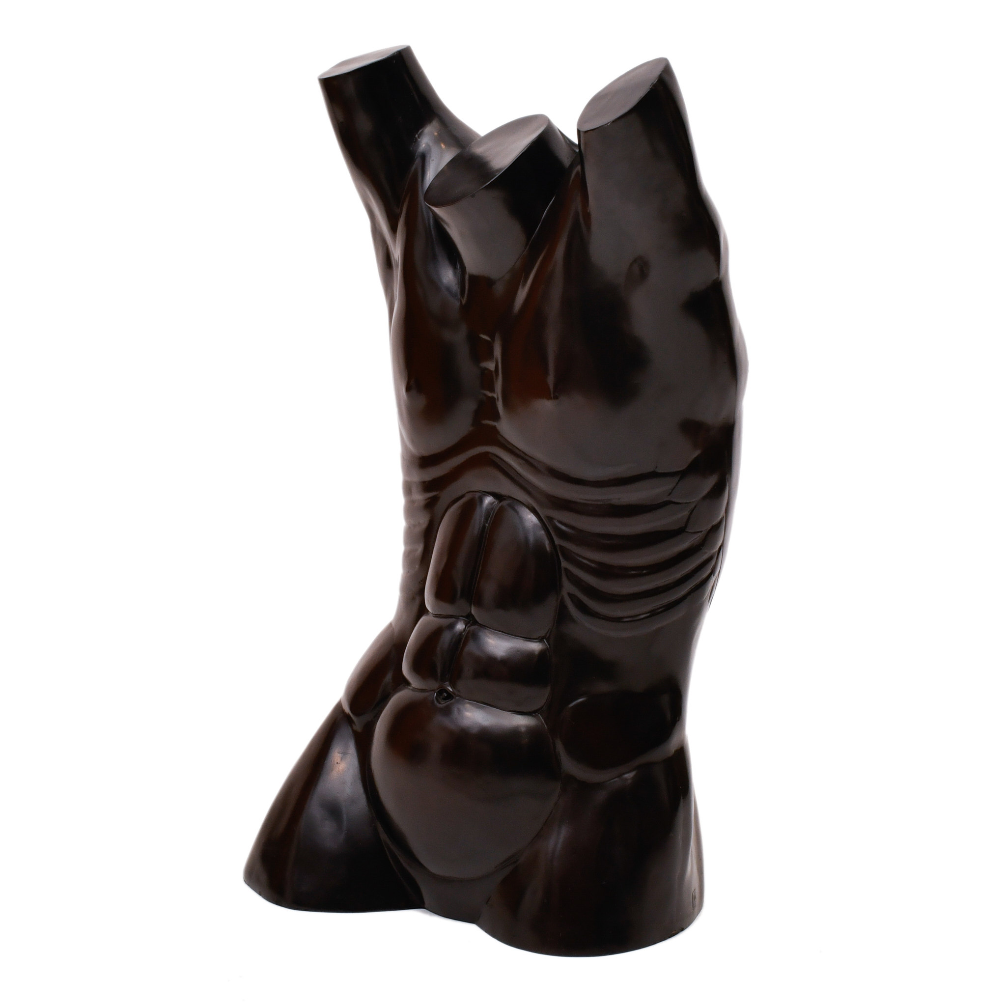 XAVIER MEDINA-CAMPENY (1943). Torso