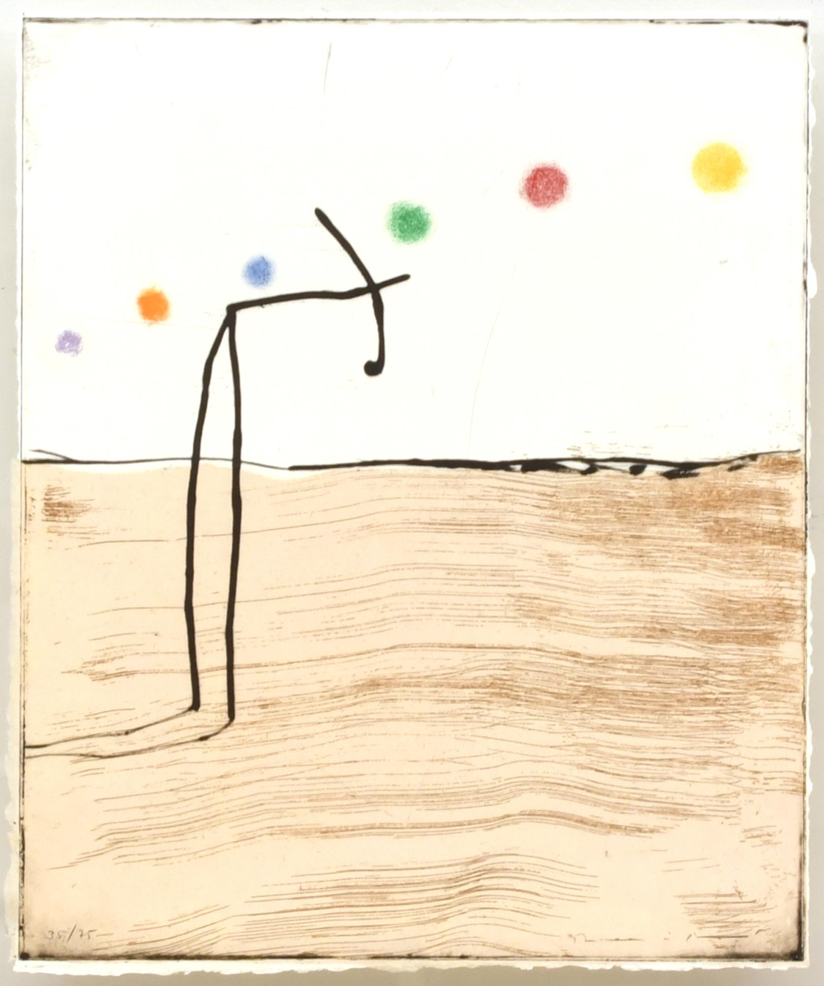 JOSEP MARIA RIERA I ARAGO (1954). Avion