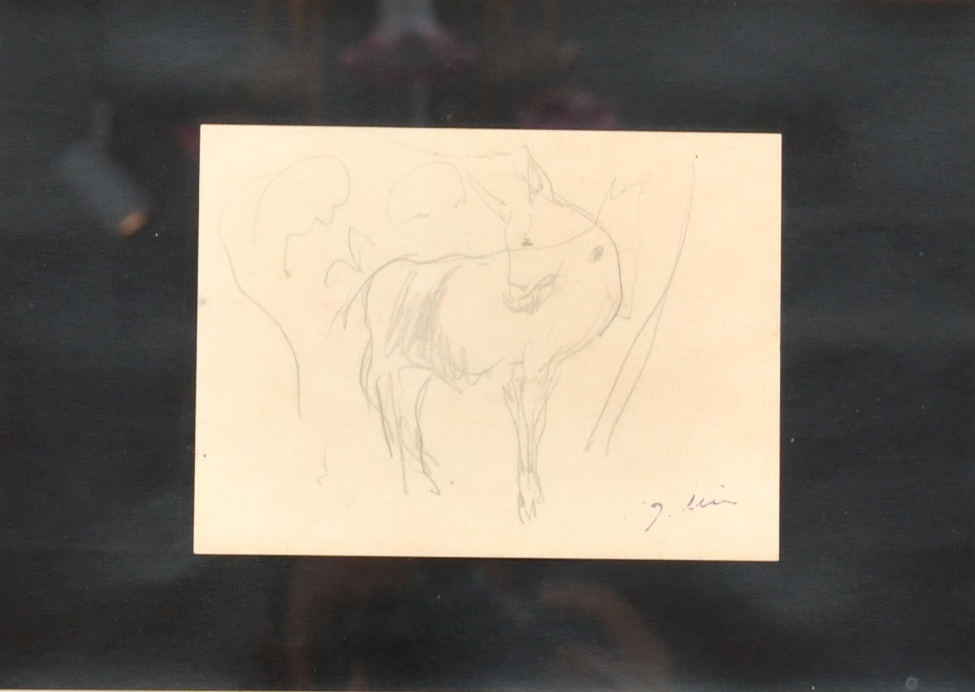 JOAQUIM MIR I TRINXET (1873-1940). Sketch of a donkey.