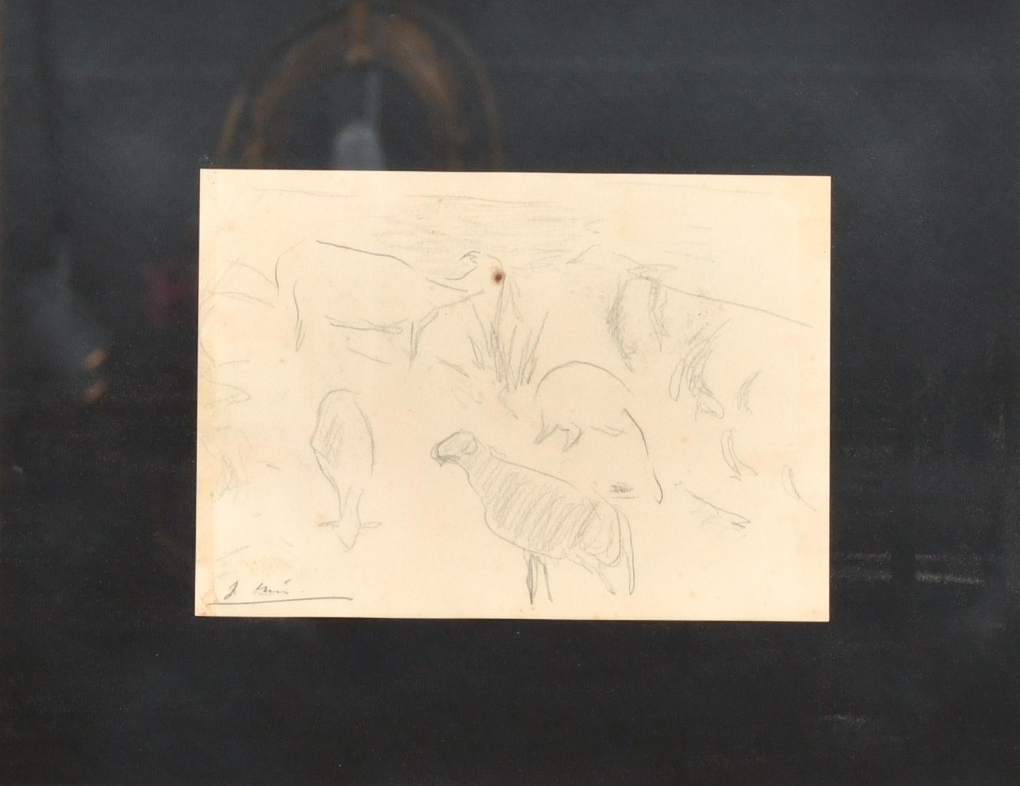 JOAQUIM MIR I TRINXET (1873-1940). Sketch of sheep.