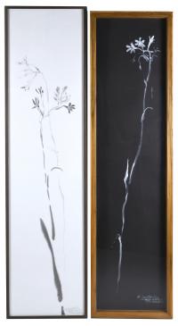 582-ANTONIO MARTORELL (1939). "WHITE FLOWER", 1997 AND "BLACK FLOWER", 1996.