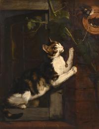 556-CHARLES VERLAT (1824-1890). "CAT", 1855.