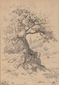 802-RICARD ALSINA AMILS (1858-?). "TREE", 1934.