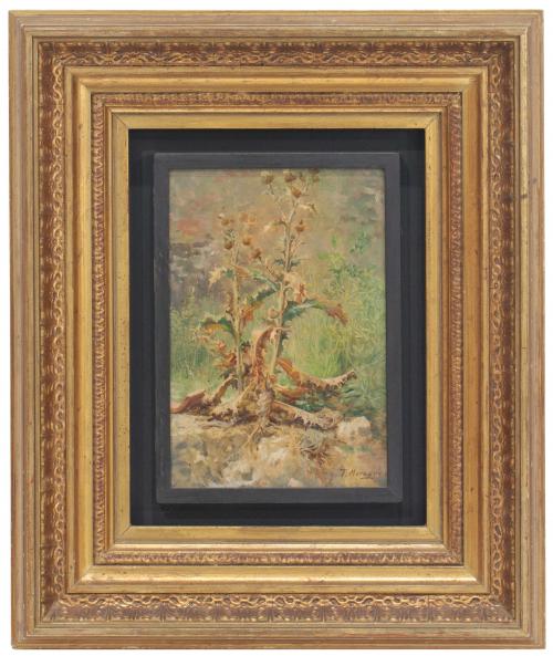 TOMAS MORAGAS I TORRAS (1837-1906). Árbol.
