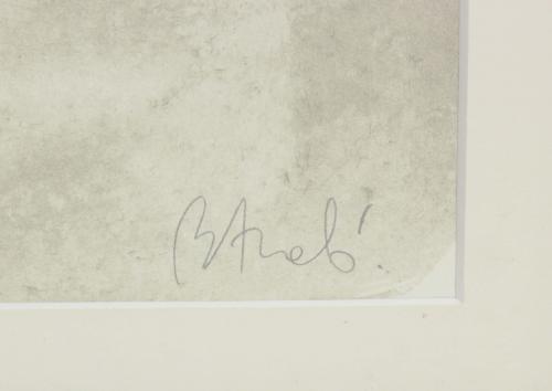 MIQUEL BARCELÓ (1957). "HEAD AND ROOTS".