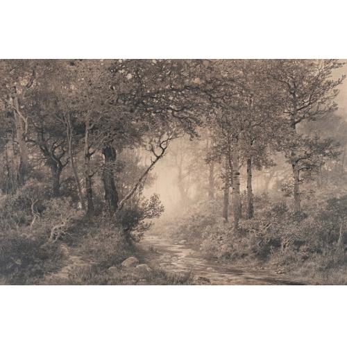 JAUME PAHISSA (1846-1928). "WOOD".