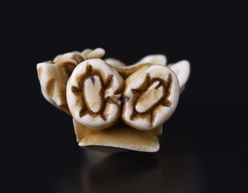 JAPANESE SCHOOL. MEIJI PERIOD, 19TH CENTURY. "SAMBASO, CHAR
