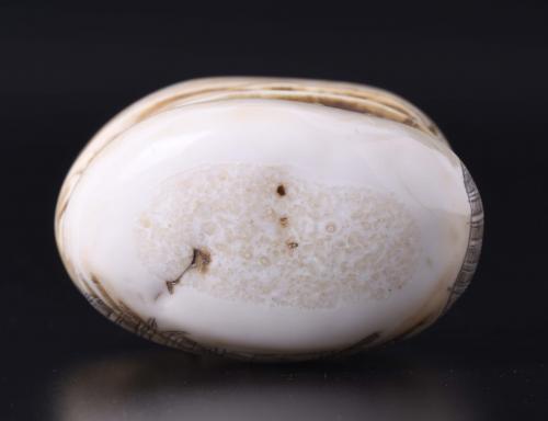 JAPANESE SCHOOL. MEIJI PERIOD, 19TH CENTURY. "CLAM WITH A T