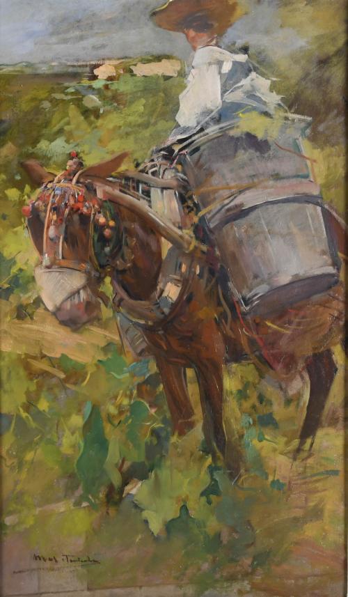 ARCADI MAS I FONDEVILA (1852-1934). "GRAPE HARVESTER WITH A