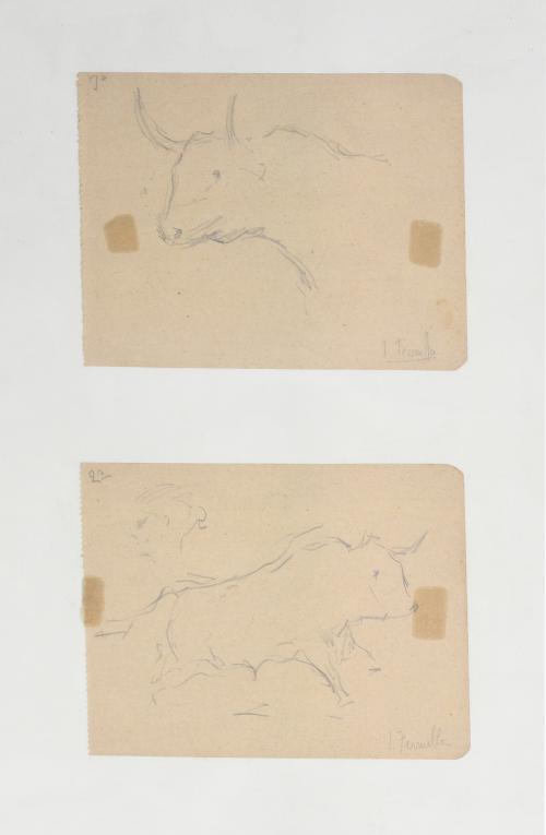 JOAQUIM TERRUELLA MATILLA (1891-1957). Set of 5 studies or