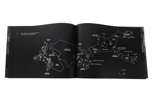 MIQUEL BARCELÓ (1957). "CHAUVET, CAHIER DE FELINS". 