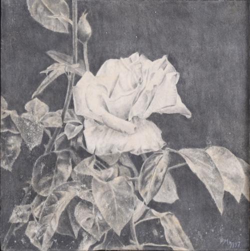 PEDRO MORENO MEYERHOF (1954). "WHITE ROSE", 1997.