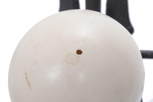 MODERNIST STAND WITH AN OSTRICH EGG, FIRST HALF OF THE 20TH