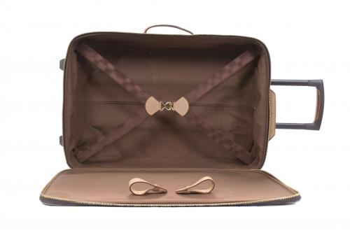 LOUIS VUITTON. "PEGASE 55" MODEL SUITCASE, CIRCA 2000.