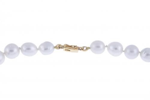 AUSTRALIAN PEARL NECKLACE.