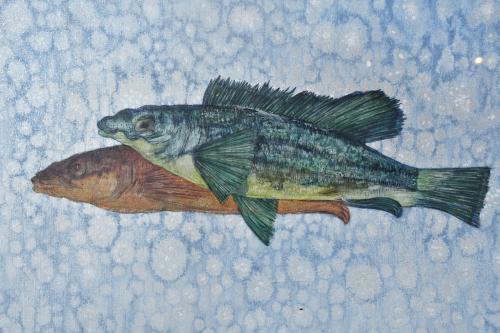 APOLINAR LANDAJO (XX). "Peces".  