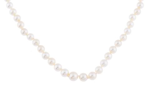 Single strand pearls necklace.