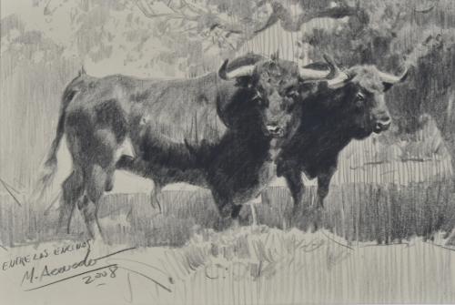 MIGUEL ACEVEDO (1947). 'Entre las encimas', 2008.
