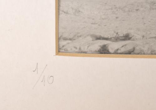 ANTONIO SÁNCHEZ BARRIGA (1948). Conjunto de tres fotos.