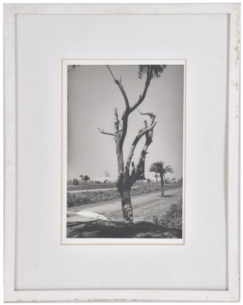 ANTONIO SÁNCHEZ BARRIGA (1948). Conjunto de tres fotos.