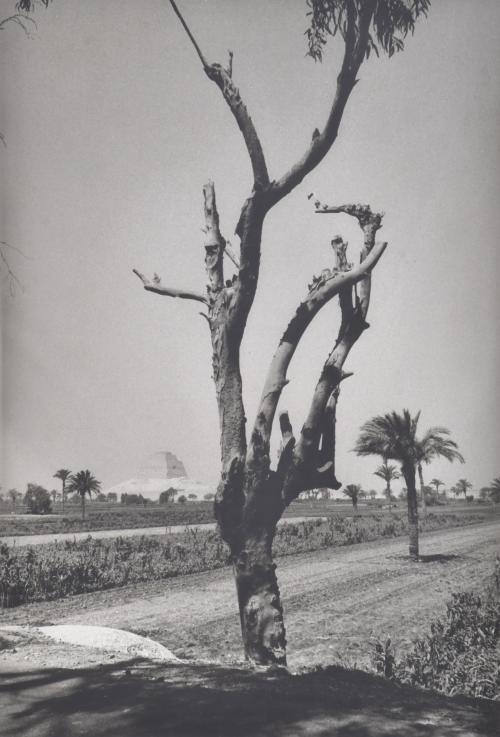 ANTONIO SÁNCHEZ BARRIGA (1948). Conjunto de tres fotos.