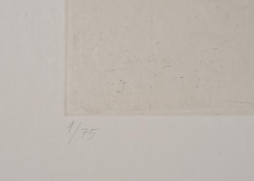 JAVIER MEDINA CAMPENY (1943). Sin título.