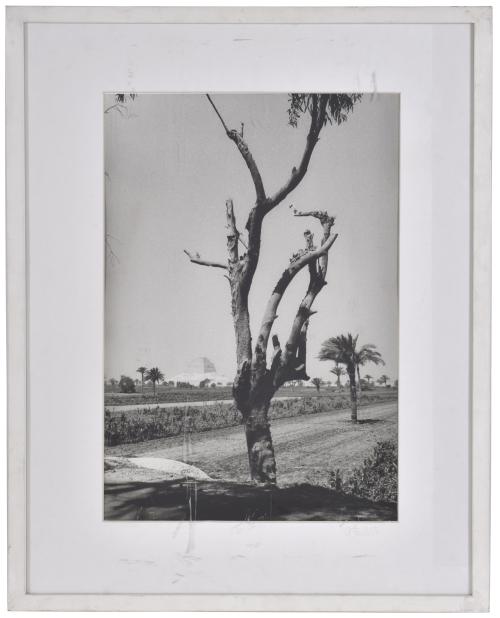 ANTONIO SÁNCHEZ BARRIGA (1948). Conjunto de tres fotos.