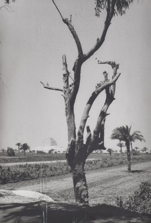 ANTONIO SÁNCHEZ BARRIGA (1948). Conjunto de tres fotos.