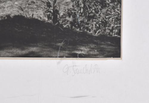 ANTONIO SÁNCHEZ BARRIGA (1948). Conjunto de tres fotos.
