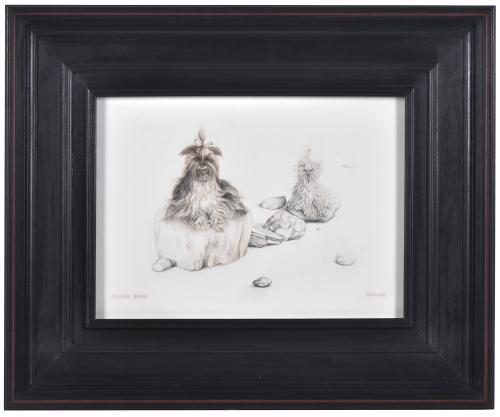 CLAUDIO BRAVO (1936-2011).  "Perritos", 1963.