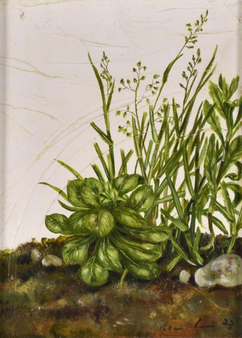 ANNA LENTSCH (1943). "Rincón verde", 1977.