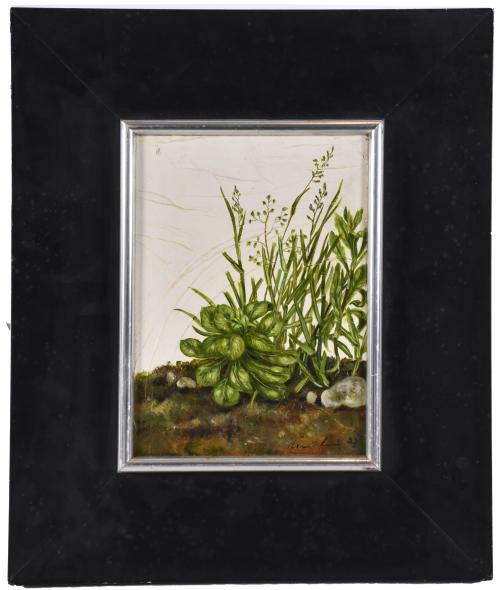 ANNA LENTSCH (1943). "Rincón verde", 1977.