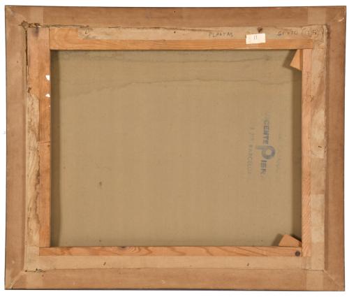 ANNA LENTSCH (1943). "Planta, ventana y mosca".