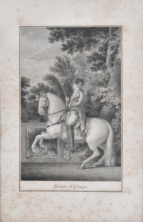 TOMAS LOPEZ ENGUIDANOS (1773-1814).  "Galope de campo", según Antonio Carnicero.