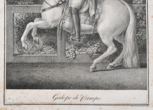 TOMAS LOPEZ ENGUIDANOS (1773-1814).  "Galope de campo", seg