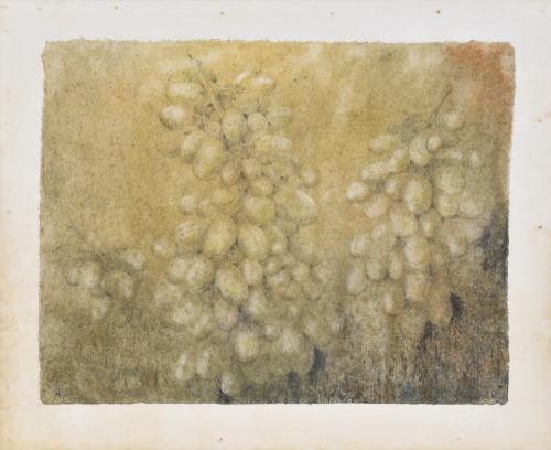 RAFAEL MUYOR (1943). "Grapes", 1990.