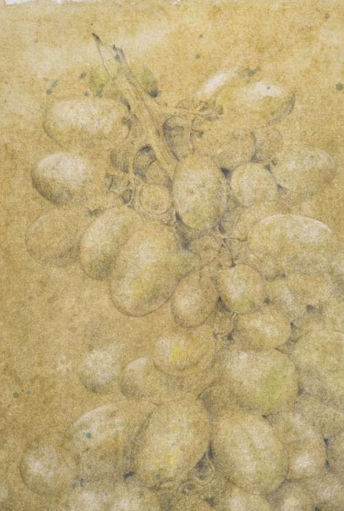 RAFAEL MUYOR (1943). "Grapes", 1990.