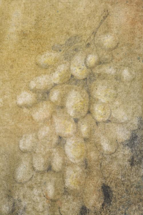 RAFAEL MUYOR (1943). "Grapes", 1990.
