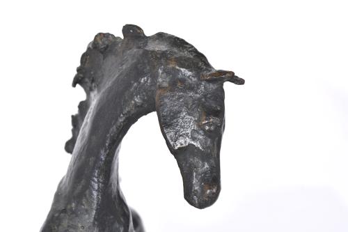 "Caballo rampante", siglo XX. 
