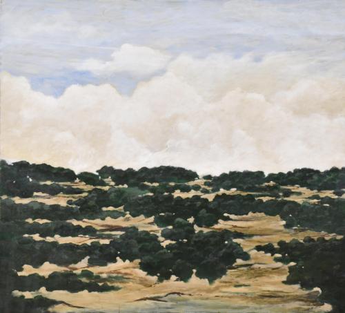 NACHO AMOR (1958).  "Nubes", 2001.