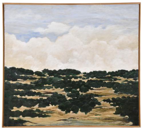 NACHO AMOR (1958).  "Nubes", 2001.