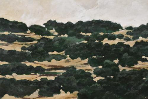 NACHO AMOR (1958).  "Nubes", 2001.