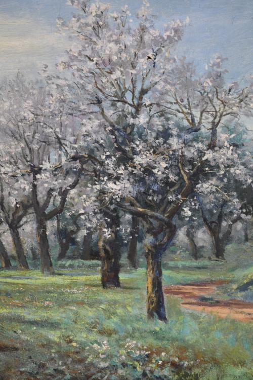 AURELI TOLOSA I ALSINA (1861-1938) “Almendros”.