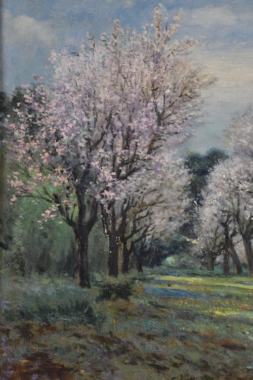 AURELI TOLOSA I ALSINA (1861-1938) “Almendros”.